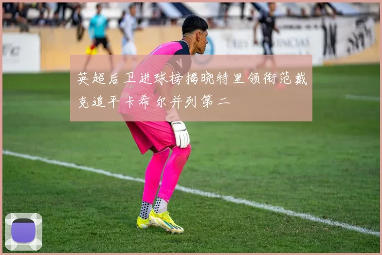 英超后卫进球榜揭晓特里领衔范戴克追平卡希尔并列第二
